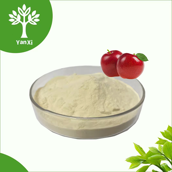 Freeze-Dried Apple Powder Freeze-Dried Apple Powder